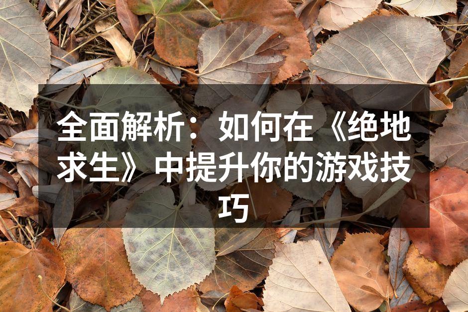 全面解析：如何在《绝地求生》中提升你的游